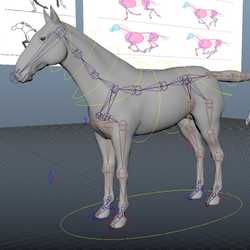 Horse_Rig.jpg